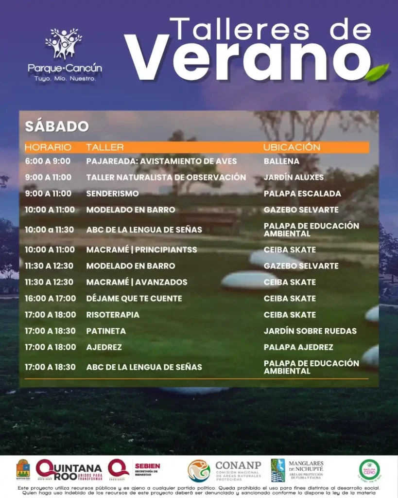 curso de verano parque cancun3