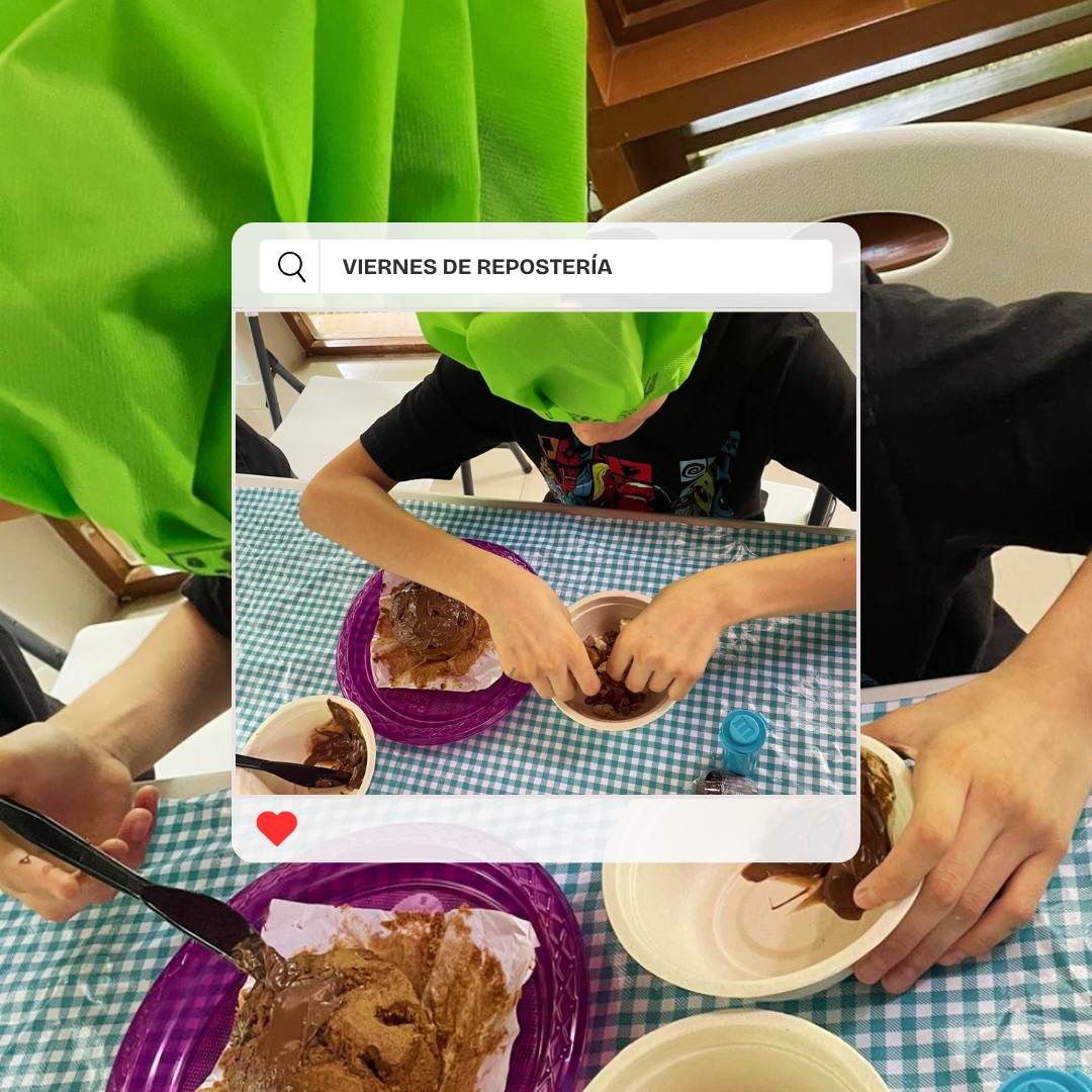 Imagen de la galería