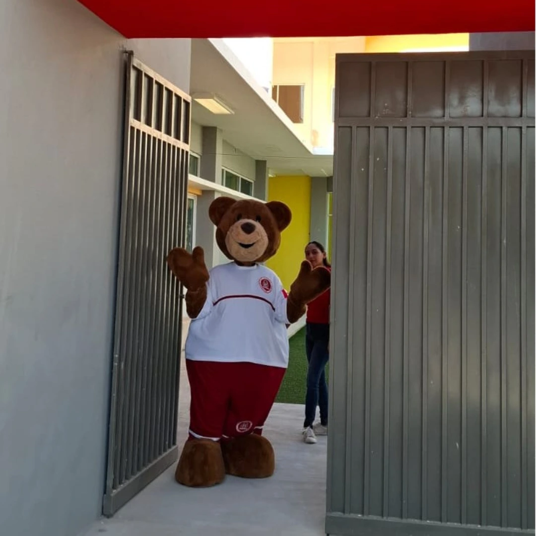 Imagen de la galería