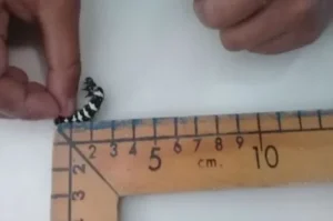 que tipo de docentes necesita la humanidad en la actualidad 07