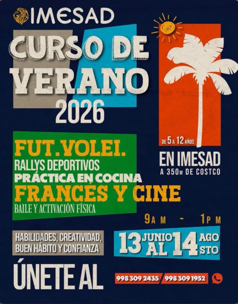 curso de verano imesad