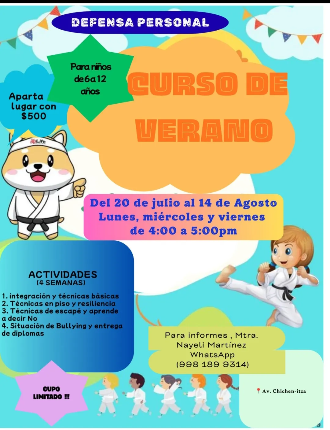 Imagen de Curso de Verano Instituto TKD Elite