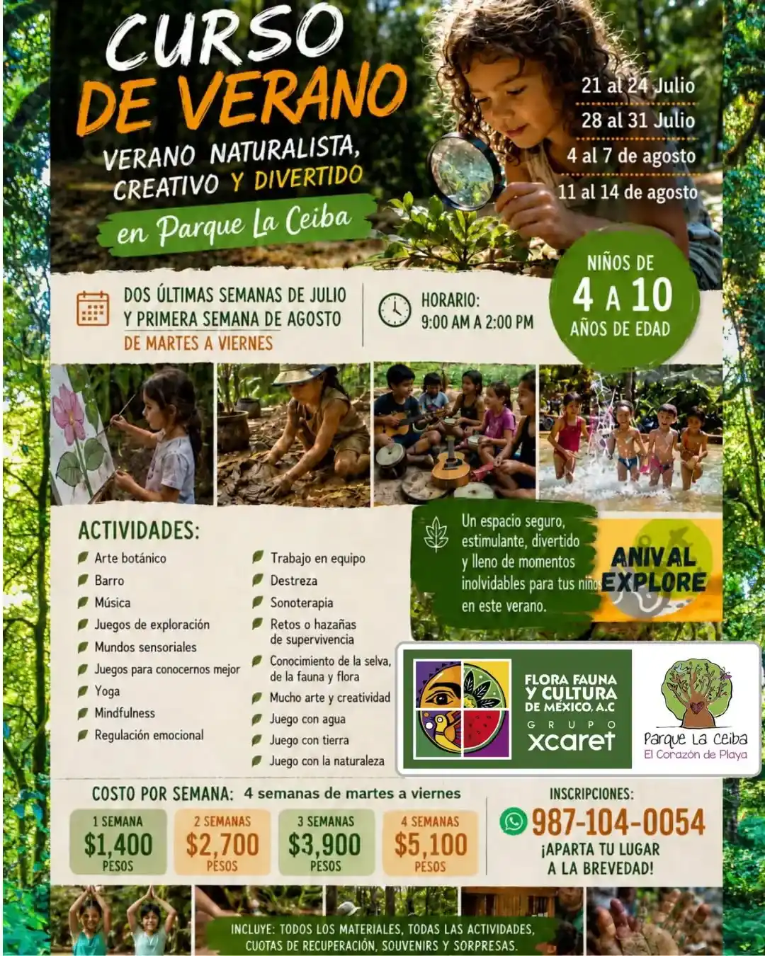 Imagen de Curso de Verano Parque La Ceiba
